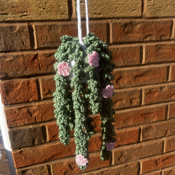 Hanging Plant with Flowers DIGITAL PATTERN