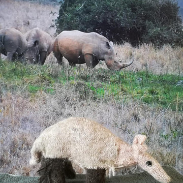 Aardvark