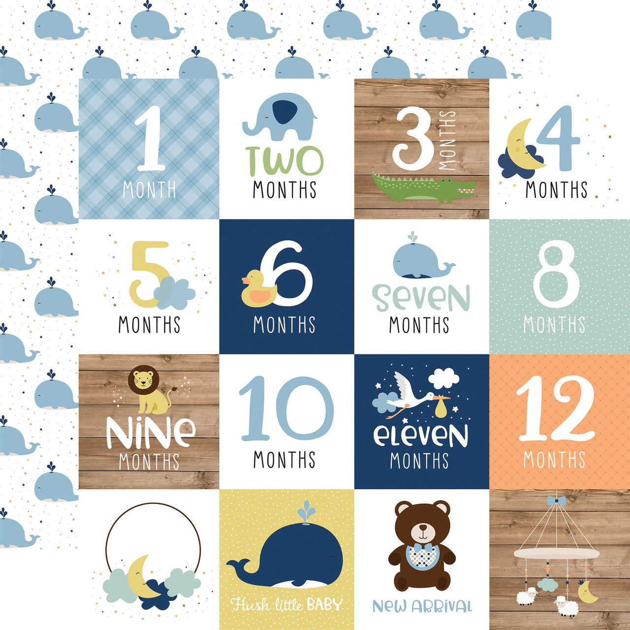 Echo Park Paper Baby Boy Double-Sided Cardstock 12"X12" 25/Pkg - Milestone Cards
