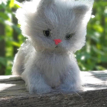 Gray Cat