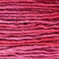 Hibiscus (32)