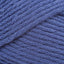 Aster (9737)