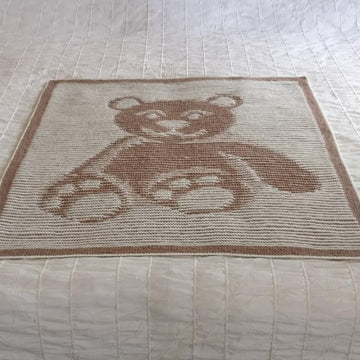 Teddy Bear Illusion Blanket and Cushion