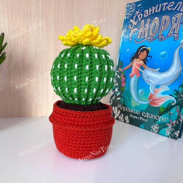 Cactus in a pot_5