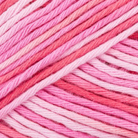 Pink Fuchsia (5)
