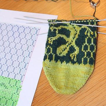 Lizard socks