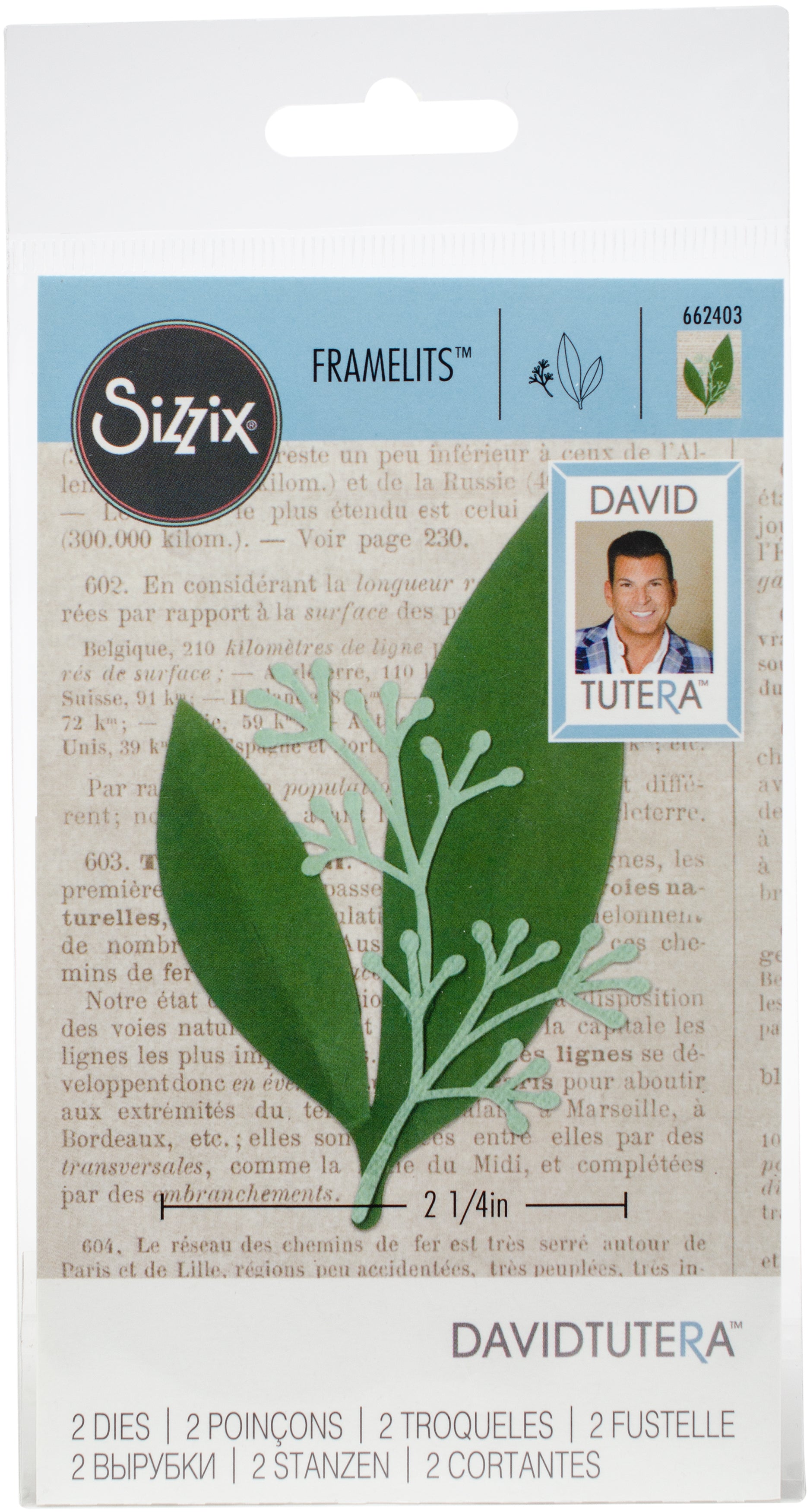 Sizzix Framelits Dies By David Tutera - Eucalyptus