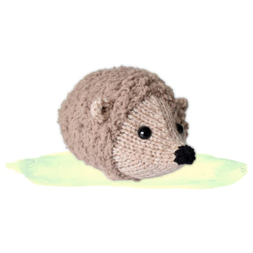 Snuggly Hedgehog