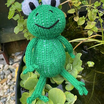Frog Toy