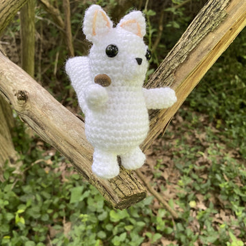 White Squirrel