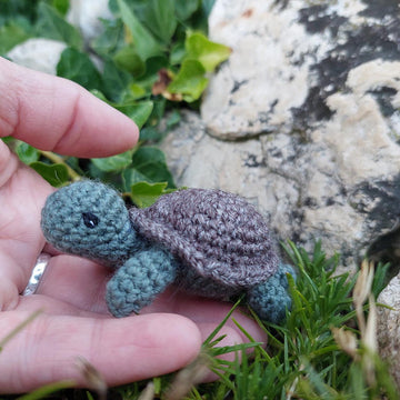 Little turtle