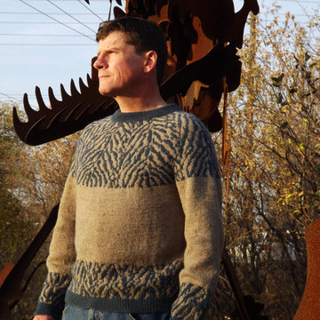 Zoologist Pullover 423