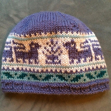 Lion in Winter Hat