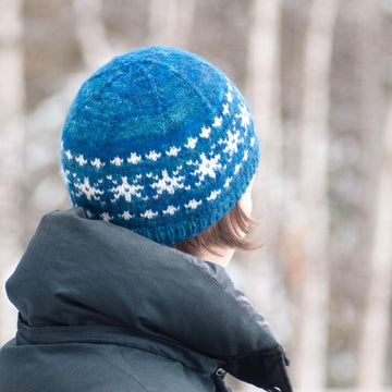 Winter Sonata (hat and mitten set)