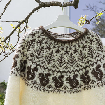 SQUIRREL Icelandic Lopapeysa Sweater for Adults and Kids
