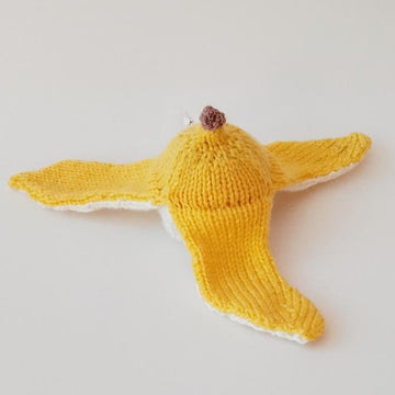 Banana Skin Chocolate Orange Cosy