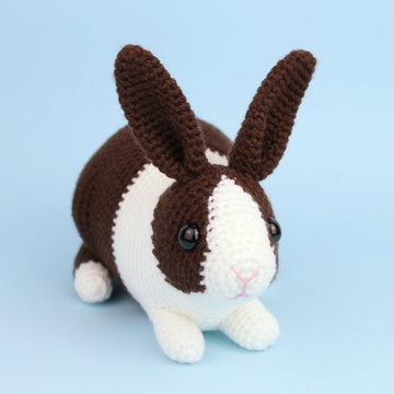 Dutch rabbit