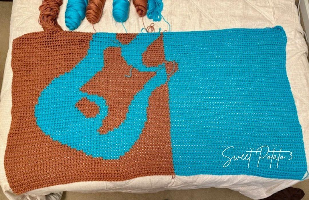 Electric Guitar Blanket