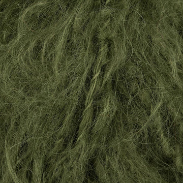 Moss