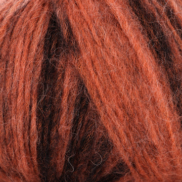 Tangerine, Black (71)