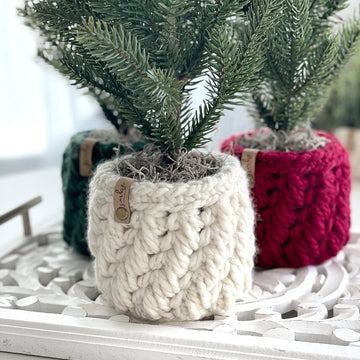 The Feathery Planter 080