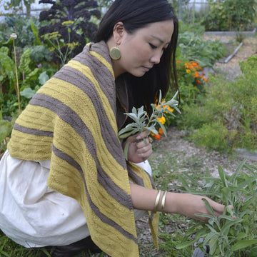 Eda Shawl