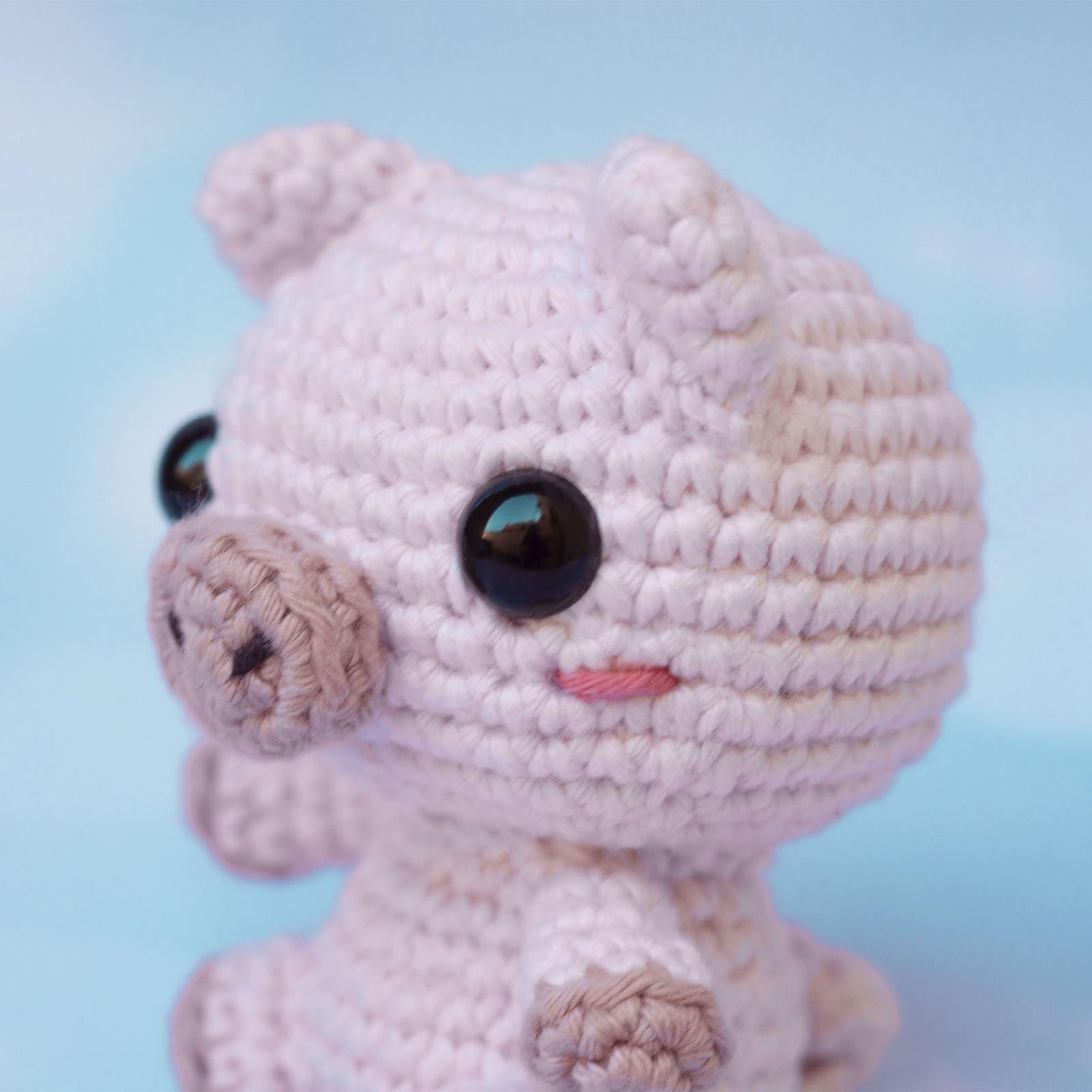 Baby pig