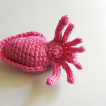 Mini Cuttlefish Amigurumi Plush Toy