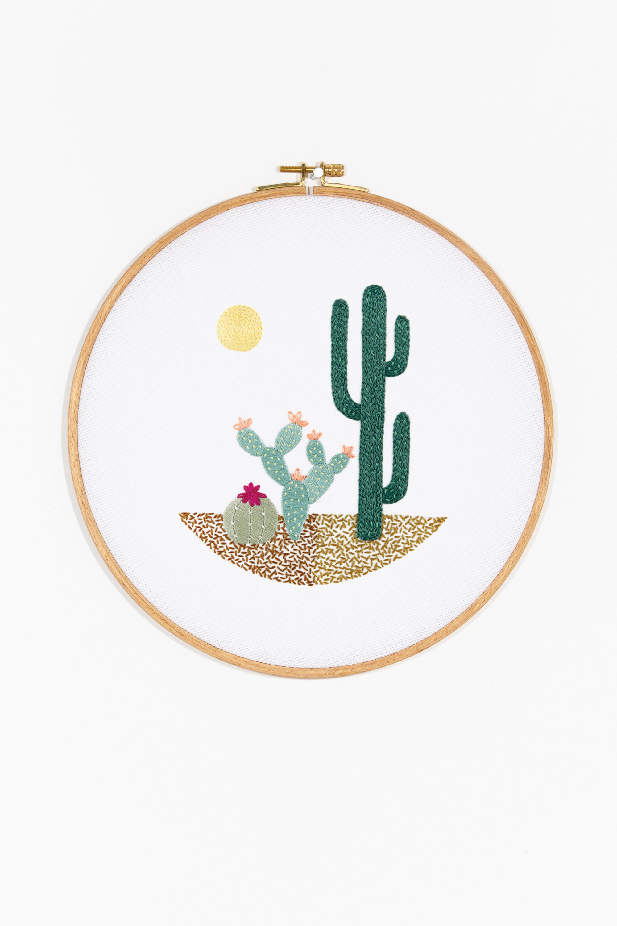 Desert Landscape  in DMC - PAT0080 -  Downloadable PDF