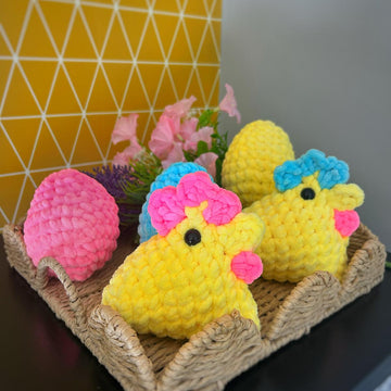 Sally The Spring Chicken
