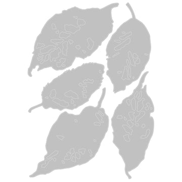 Sizzix Thinlits Die Set 5PK - Leaf Fragments