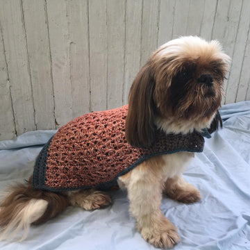 Walk The Dog Sweater