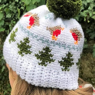 Winter Robin Beanie