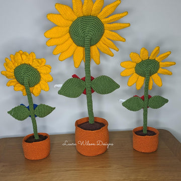 Rockin' sunflowers