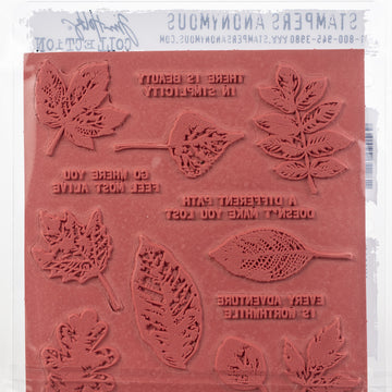 Stampers Anonymous Tim Holtz Cling Stamps 7"X8.5" - Nature's Wonder