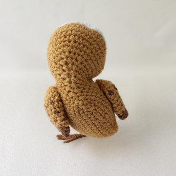 Barn Owl