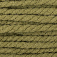 Green Olive (16)