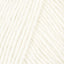 Artic Fox (1301)
