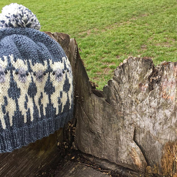 Alpacas on a Hat