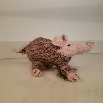 Aardvark (cartoon)