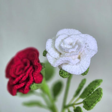Rose hybrid bud