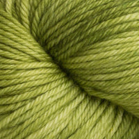 Shiny Moss (9)