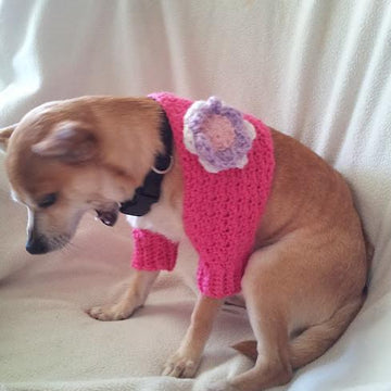 Spring Bloom Shrug