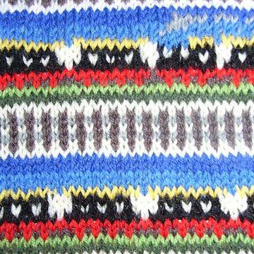 Molly the train cowl