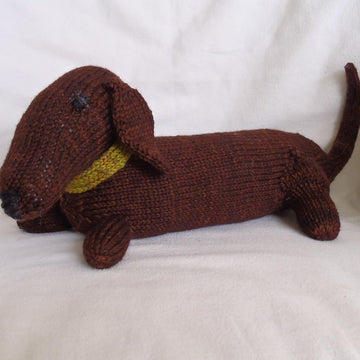 Jelly, the dachshund