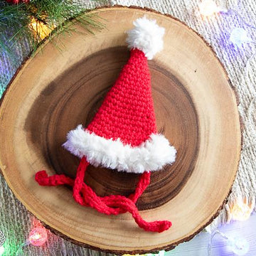 Cat Santa Hat