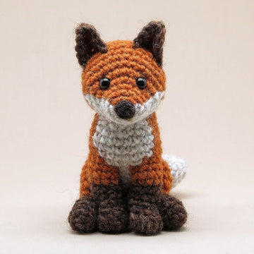Young Flamsie the fox