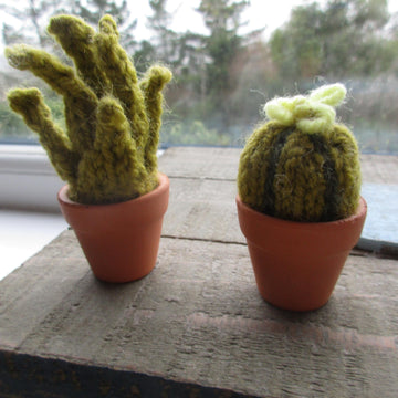 Mini Plants in Pots
