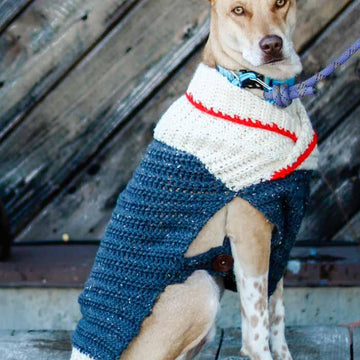 Ready to Roam Dog Sweater