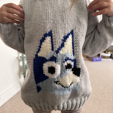 Bluey toddler jumper
